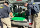 PRF apreende 137 quilos de maconha escondidos em SUV na BR-369, em Ubiratã