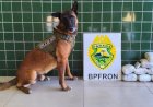 BPFRON prende mulher e apreende mais de 6 quilos de haxixe em Guaíra