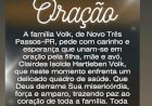 Moradora de Novo Três Passos segue em coma após grave acidente  e família pede oração