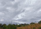 Confira  os volumes de Chuva  registrados de ontem( 25) para hoje (26) em localidades da região de Marechal Rondon e Toledo