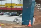 Homem de 39 anos é encontrado sem vida em via pública no centro de Marechal Cândido Rondon