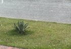Chuva de Granizo atingiu Umuarama agora a pouco e pode se repetir ainda hoje  segundo alerta meteorológico