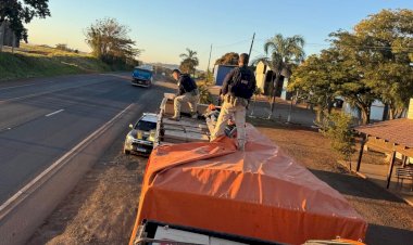 PRF apreende 600 mil maços de cigarros na BR-163, em Mercedes (PR)