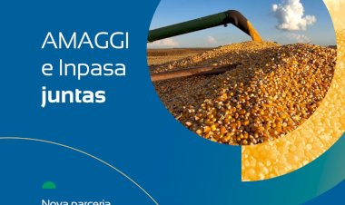 AMAGGI e Inpasa se juntam e  construirão usinas de etanol de milho no Mato Grosso