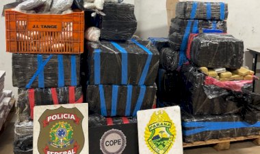 BPFRON, PF e PC apreendem quase duas toneladas de maconha em operações  na região