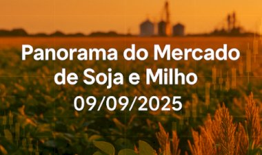 Panorama do Mercado de Soja e Milho 09/09/2025