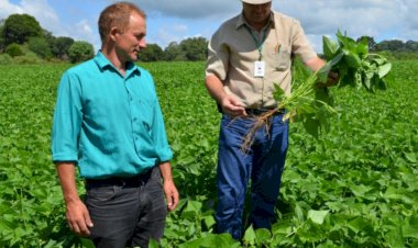 IDR-Paraná lança processo seletivo para contratar 173 profissionais no Estado