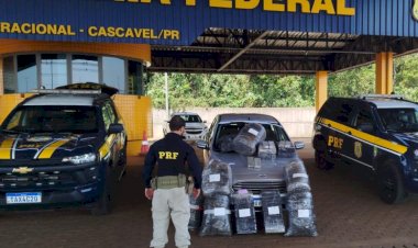 Domingo de apreensões: PRF intercepta mais de 178 kg de drogas na BR-277, em Cascavel
