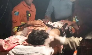 NOVO ATAQUE DE ONÇA-PINTADA É REGISTRADO NO PANTANAL SUL  MATO GROSENSSE