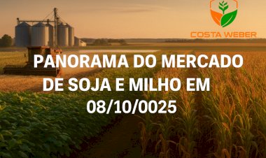 PANORAMA DO MERCADO DA SOJA E MILHO EM 08/10/2025