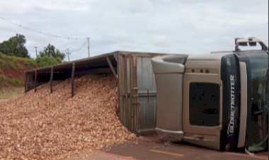 Carreta carregada com cavaco tomba na BR-163 no  trevo de Marechal Cândido Rondon