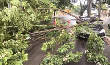 Chuva traz alívio para lavouras da região; ventos causam danos em Guaíra