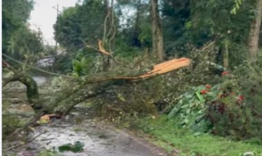 Chuvas com vento causam estragos pontuais na região de Marechal Rondon