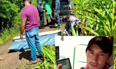 Agricultor morre após ataque de javali no Mato Grosso do Sul