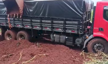 Caminhão com 25 mil pacotes de cigarros contrabandeados é apreendido na BR-163 em  Dois Irmãos