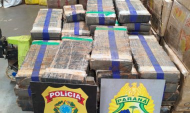 BPFRON e Polícia Federal apreendem mais de 420 kg de maconha em Santa Helena