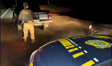 PRF apreende quase uma tonelada de maconha em caminhonete furtada em Icaraíma