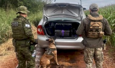 BPFRON apreende 300 quilos de maconha em operação conjunta em Guaíra