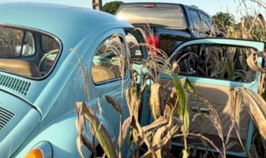 Polícia investiga tentativa de assassinato contra empresário encontrado ferido em plantação de milho em Santa Helena