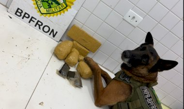 BPFRON apreende drogas e prende homem por tráfico na Rodoviária de Guaíra
