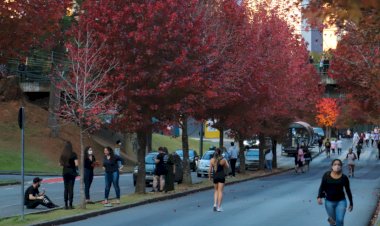 Outono de 2026 no Paraná teve temperaturas dentro da média e chuva acima do histórico, aponta Simepar