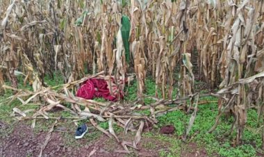 Feto é encontrado abandonado em estrada rural na região do Jardim Santa Clara IV, em Toledo