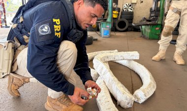 PRF encontra três mil ampolas de emagrecedores escondidas dentro de pneus em Guaraniaçu