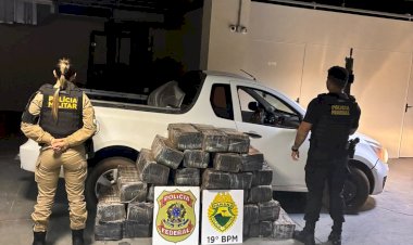 Polícia Militar e Polícia Federal apreendem meia tonelada de maconha em estrada rural de Guaíra