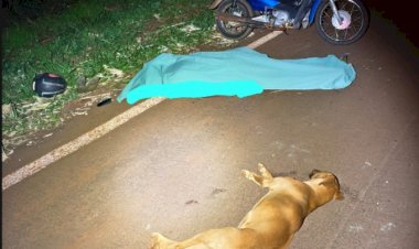 Idoso atropela cachorro e morre após queda de moto na pr-495, em Serranópolis do Iguaçu