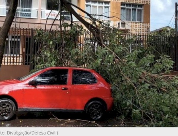 Chuva isolada com ventos fortes provoca queda de galhos em Foz do Iguaçu