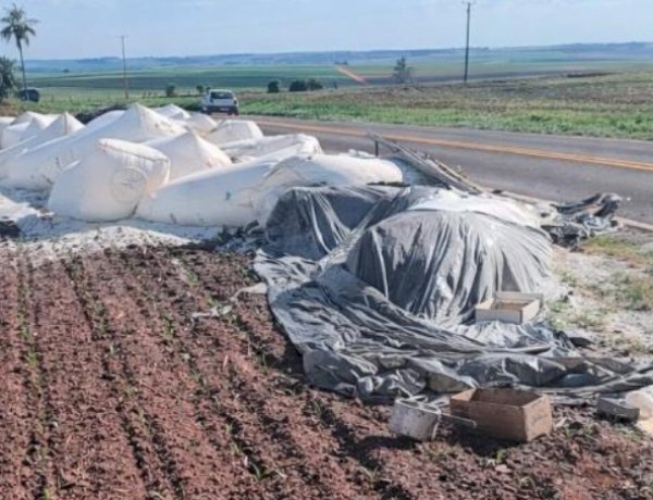 Caminhão sai da pista e espalha carga na rodovia entre Palotina e Francisco Alves