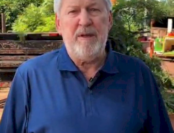 Recanto Feliz e Berlim recebem poda de árvores para evitar novos  rompimentos na rede elétrica