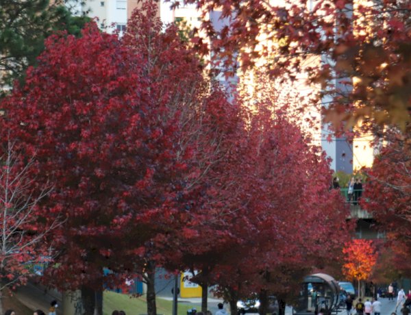 Outono começa com previsão de mais chuva e temperaturas acima da média no Paraná