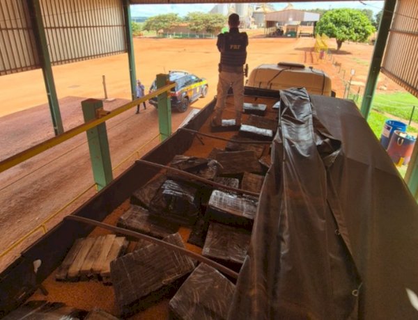 PRF apreende mais de 2,1 toneladas de maconha escondidas em carga de milho