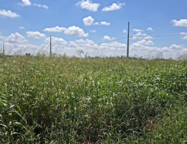 Prefeitura de Nova Santa Rosa reforça orientação sobre limpeza de terrenos urbanos