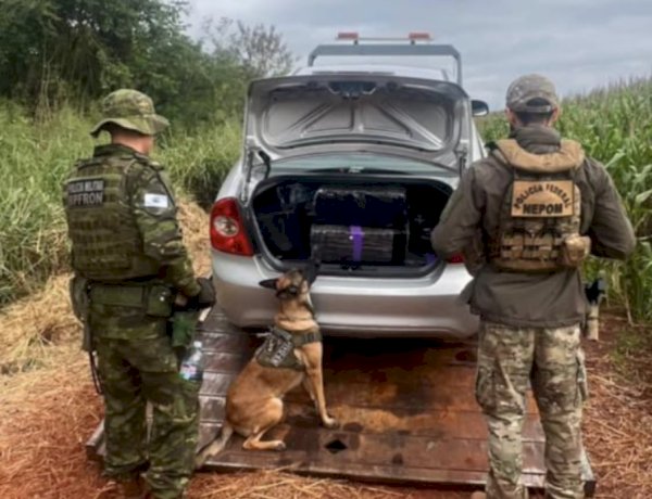 BPFRON apreende 300 quilos de maconha em operação conjunta em Guaíra
