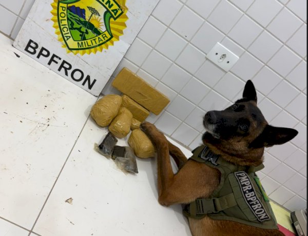 BPFRON apreende drogas e prende homem por tráfico na Rodoviária de Guaíra