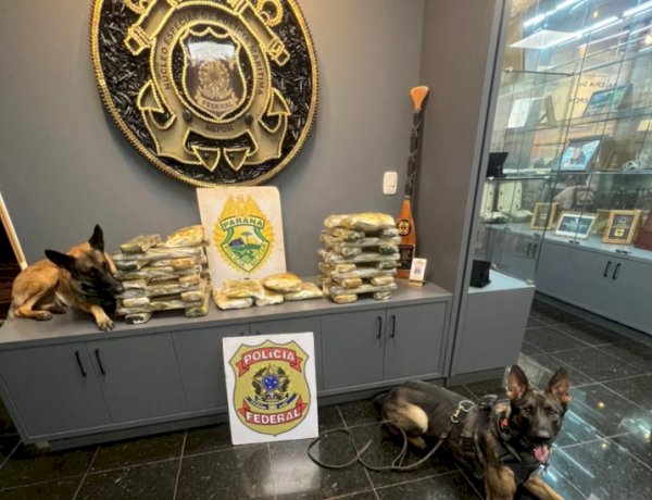 Ação integrada apreende 33,5 kg de maconha em ônibus na Ponte Ayrton Senna e prende jovem em Guaíra
