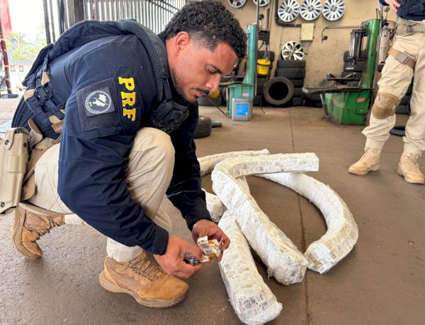 PRF encontra três mil ampolas de emagrecedores escondidas dentro de pneus em Guaraniaçu