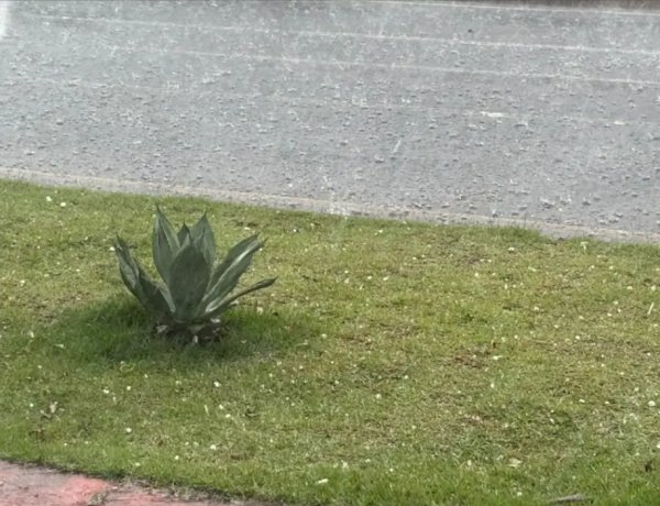 Chuva de Granizo atingiu Umuarama agora a pouco e pode se repetir ainda hoje  segundo alerta meteorológico
