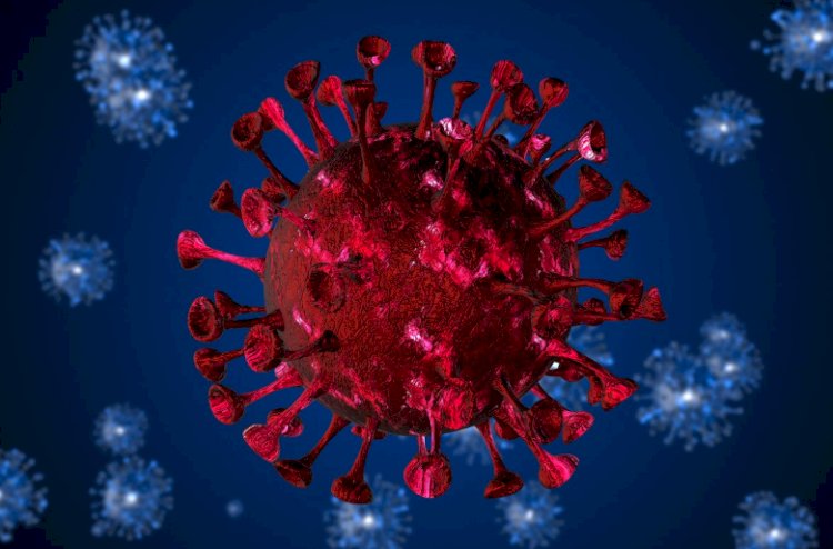 Nova variante da Covid-19 é identificada no Brasil; oito casos confirmados