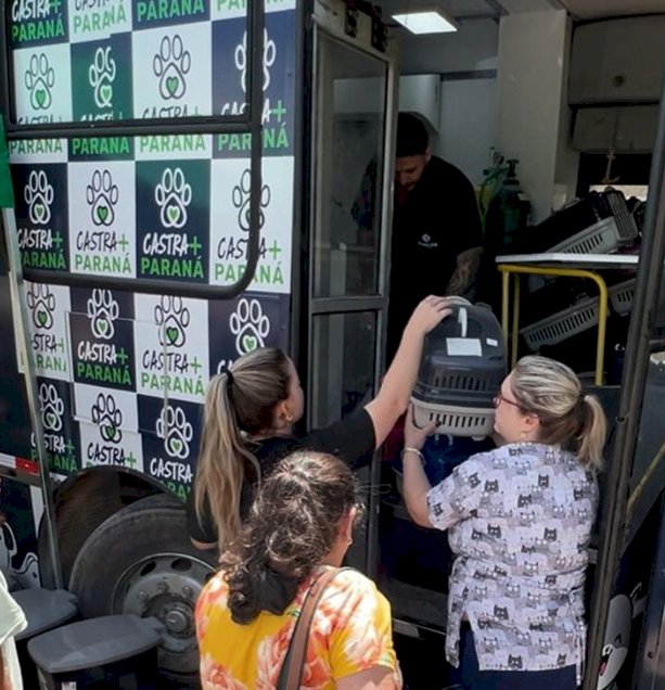 Marechal Cândido Rondon recebe mutirão de castração do Programa Castra Mais Paraná 2