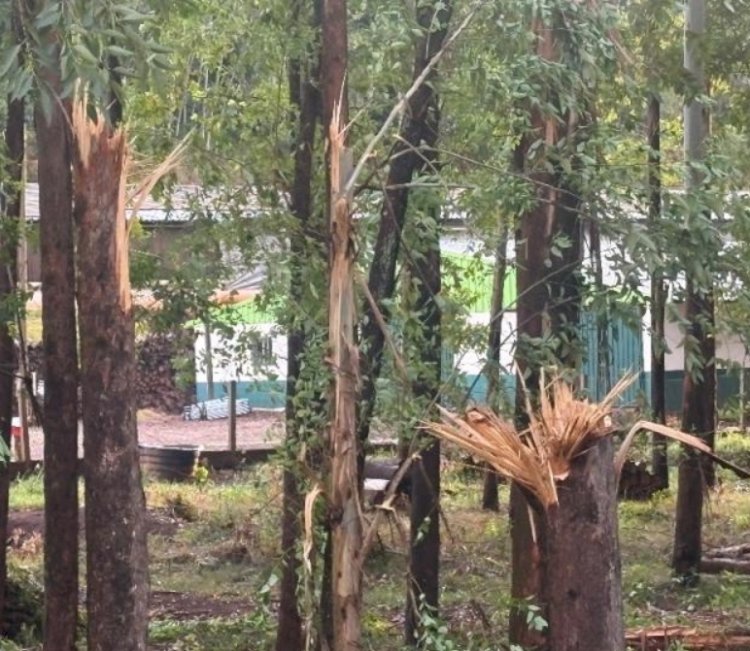 Temporal provoca estragos na área rural de Mercedes e destelha residência