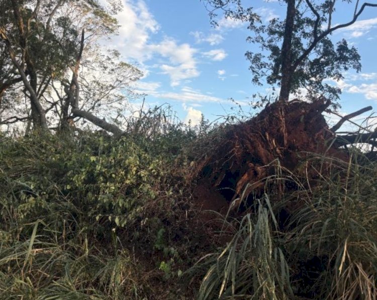 Temporal provoca estragos na área rural de Mercedes e destelha residência