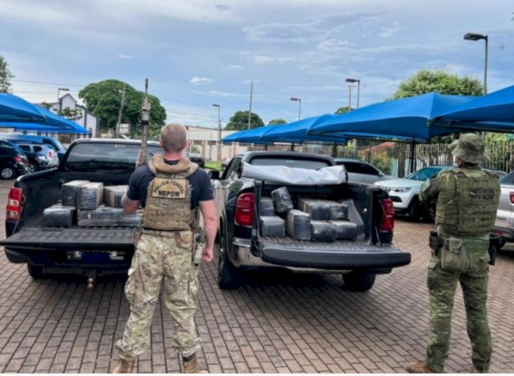 Ação integrada apreende 262 kg de maconha  na cidade de Mercedes