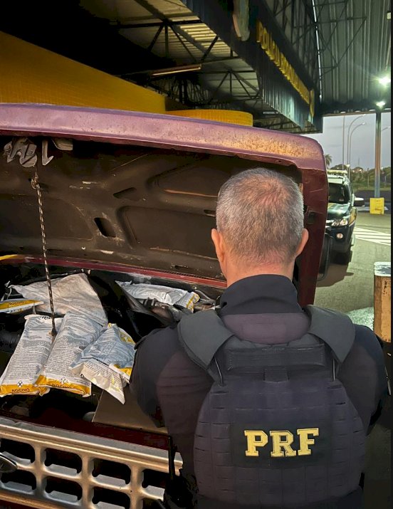 PRF apreende agrotóxicos contrabandeados escondidos no motor de caminhonete na BR-163