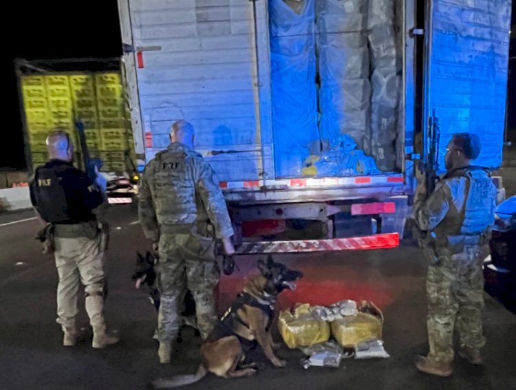 Cães farejadores da PRF ajudam a apreender mais de 80 kg de drogas no Oeste do Paraná
