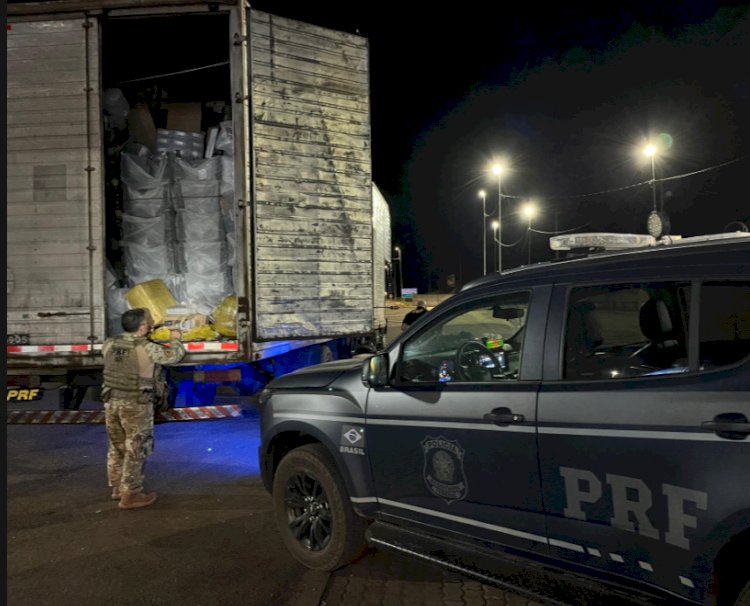 Cães farejadores da PRF ajudam a apreender mais de 80 kg de drogas no Oeste do Paraná