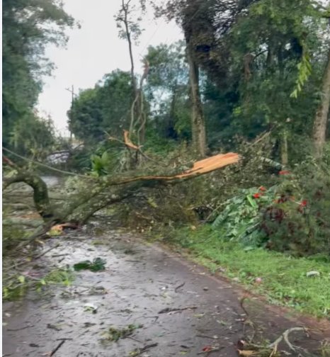 Chuvas com vento causam estragos pontuais na região de Marechal Rondon