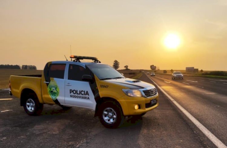 PRF e BPRv apreendem carga milionária de medicamentos contrabandeados em ônibus na BR-369